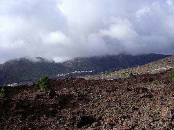 Tenerife (07).JPG
