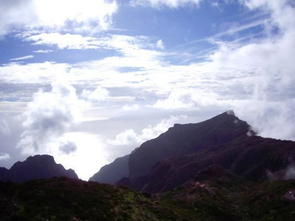 Tenerife (13).JPG