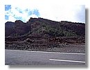 Tenerife (32).JPG