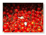 tomates-cherry.JPG
